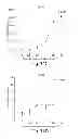 Fig. 41 - Compositions having antiangiogenic activity and uses thereof