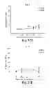 Fig. 44 - Compositions having antiangiogenic activity and uses thereof
