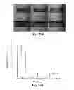 Fig. 45 - Compositions having antiangiogenic activity and uses thereof