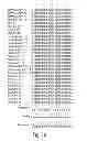 Fig. 46 - Compositions having antiangiogenic activity and uses thereof