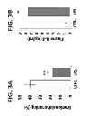 Fig. 04 - Methods for Treating and Preventing Cardiac Dysfunction in Septic Shock