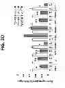 Fig. 06 - Methods for Treating and Preventing Cardiac Dysfunction in Septic Shock