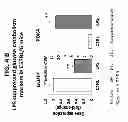 Fig. 08 - Methods for Treating and Preventing Cardiac Dysfunction in Septic Shock