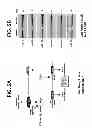 Fig. 09 - Methods for Treating and Preventing Cardiac Dysfunction in Septic Shock