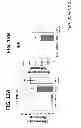 Fig. 22 - Methods for Treating and Preventing Cardiac Dysfunction in Septic Shock
