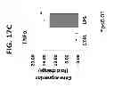 Fig. 28 - Methods for Treating and Preventing Cardiac Dysfunction in Septic Shock