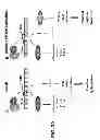 Fig. 52 - Methods for Treating and Preventing Cardiac Dysfunction in Septic Shock