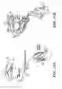 Fig. 35 - Methods of promoting neuronal outgrowth by gypican 2 that binds to receptor protein tyrosine phosphatase sigma