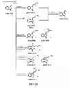Fig. 03 - Method for inhibiting autophagy of motor neurons