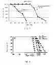 Fig. 05 - Method for inhibiting autophagy of motor neurons