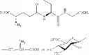 Fig. 17 - Method for inhibiting autophagy of motor neurons