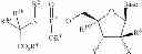 Fig. 06 - Nucleoside phosphoramidate prodrugs