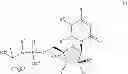 Fig. 08 - Nucleoside phosphoramidate prodrugs