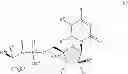 Fig. 09 - Nucleoside phosphoramidate prodrugs