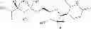 Fig. 33 - Nucleoside phosphoramidate prodrugs