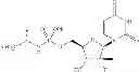 Fig. 43 - Nucleoside phosphoramidate prodrugs