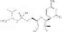 Fig. 49 - Nucleoside phosphoramidate prodrugs