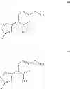 Fig. 06 - Bicyclic pyridinones