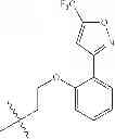 Fig. 77 - Bicyclic pyridinones