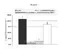 Fig. 22 - Compounds for the treatment of proliferative disorders