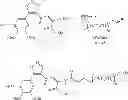 Fig. 490 - Compounds for the treatment of proliferative disorders