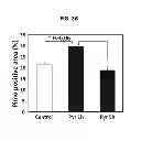 Fig. 06 - Use of pyruvate or succinate to enhance the efficacy of a hypoxia activated prodrug for the treatment of tumors