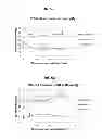 Fig. 09 - Use of pyruvate or succinate to enhance the efficacy of a hypoxia activated prodrug for the treatment of tumors