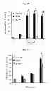Fig. 09 - CORROLES FOR NEUROPROTECTION AND NEURORESCUE