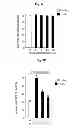 Fig. 13 - CORROLES FOR NEUROPROTECTION AND NEURORESCUE