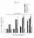 Fig. 16 - CORROLES FOR NEUROPROTECTION AND NEURORESCUE