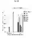 Fig. 17 - CORROLES FOR NEUROPROTECTION AND NEURORESCUE
