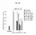Fig. 22 - CORROLES FOR NEUROPROTECTION AND NEURORESCUE