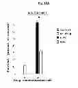 Fig. 26 - CORROLES FOR NEUROPROTECTION AND NEURORESCUE