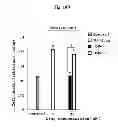 Fig. 27 - CORROLES FOR NEUROPROTECTION AND NEURORESCUE