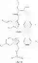 Fig. 04 - Anxiolytic compounds