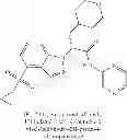 Fig. 243 - Glucokinase activators