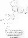 Fig. 262 - Glucokinase activators