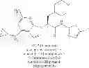 Fig. 265 - Glucokinase activators
