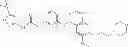Fig. 167 - RAF kinase modulator compounds and methods of use thereof