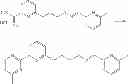 Fig. 131 - NOVEL MICROBIOCIDES