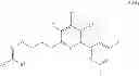 Fig. 45 - NOVEL MICROBIOCIDES