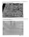 Fig. 09 - PHARMACEUTICAL PREPARATION CONTAINING OXYCODONE AND NALOXONE