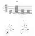 Fig. 02 - Pharmaceutical compositions for the treatment of capillary arteriopathy
