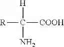 Fig. 06 - Bioavailable diacylhydrazine ligands for modulating the expression of exogenous genes via an ecdysone receptor complex