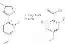 Fig. 09 - Bioavailable diacylhydrazine ligands for modulating the expression of exogenous genes via an ecdysone receptor complex