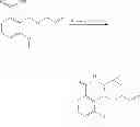 Fig. 28 - Bioavailable diacylhydrazine ligands for modulating the expression of exogenous genes via an ecdysone receptor complex