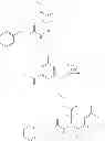 Fig. 89 - Bioavailable diacylhydrazine ligands for modulating the expression of exogenous genes via an ecdysone receptor complex