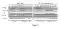 Fig. 06 - HSP90 INHIBITORY COMPOUNDS IN TREATING JAK/STAT SIGNALING-MEDIATED CANCERS