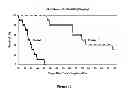 Fig. 15 - HSP90 INHIBITORY COMPOUNDS IN TREATING JAK/STAT SIGNALING-MEDIATED CANCERS
