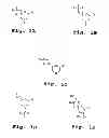 Fig. 02 - Splice-region antisense composition and method